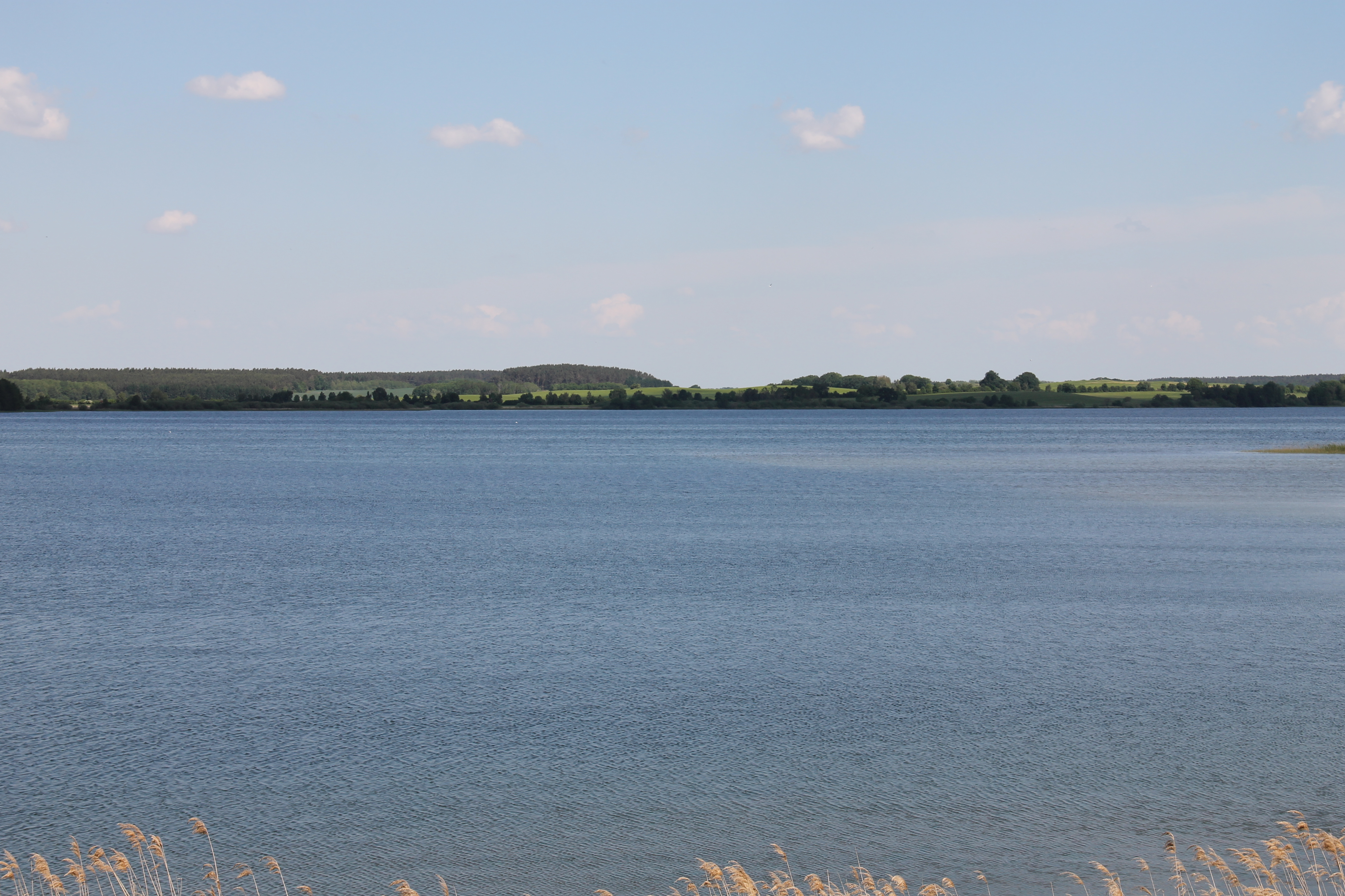 Blick auf den Karower See